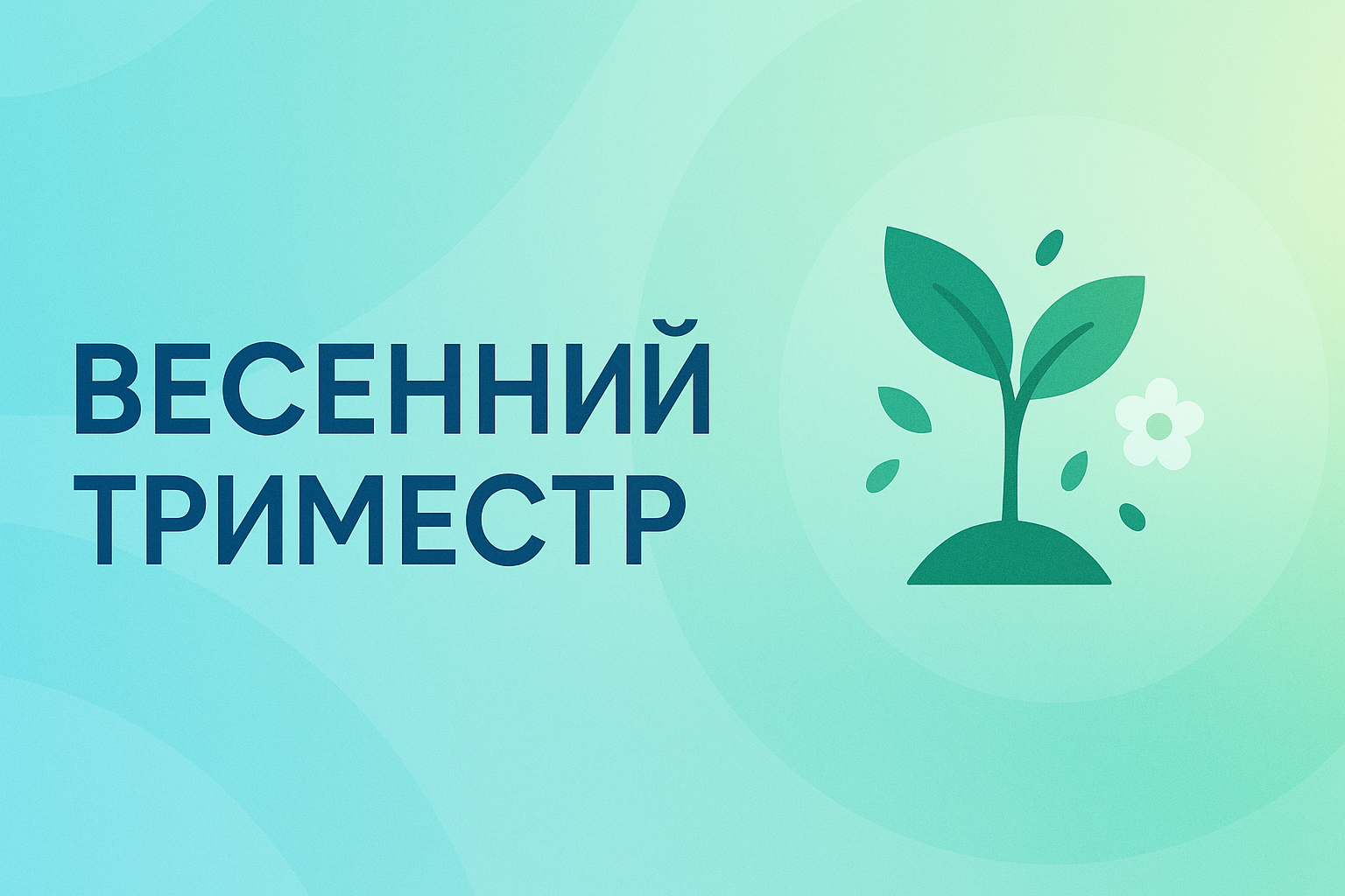 ДОШКОЛЬНИКИ 3. Весенний семестр